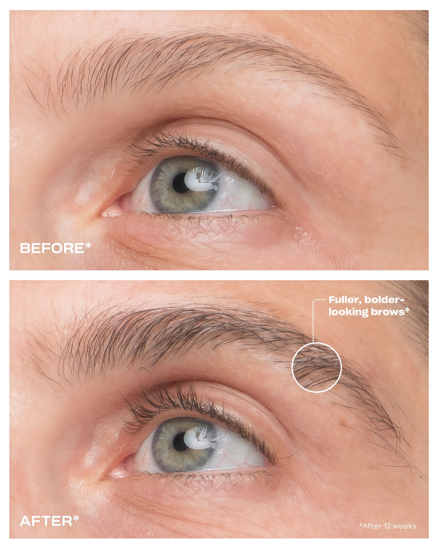 Amplifying Brow Serum 3 Month Supply (3 mL)