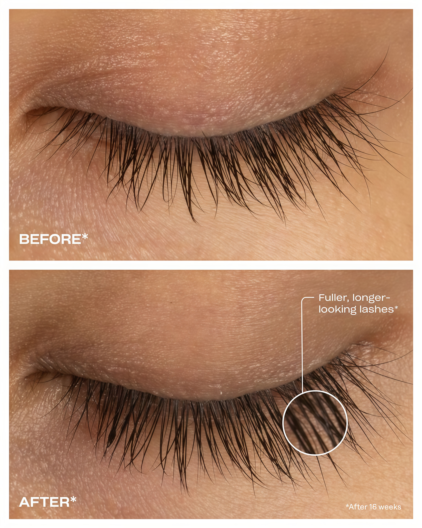 Renewing Lash Serum  4 Month supply (6mL)