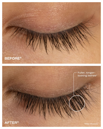 Renewing Lash Serum  4 Month supply (6mL)